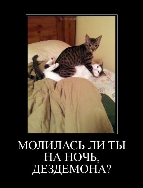 Алёна Глубокова | Копейск