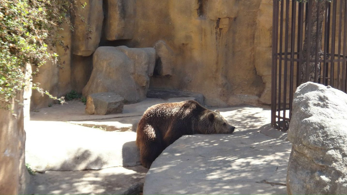 Евгения Лисовская | Москва