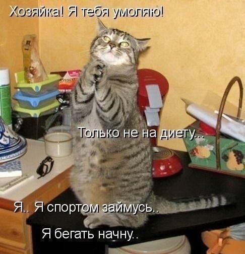 №6, Алексей Доминатор №6, Алексей Доминатор