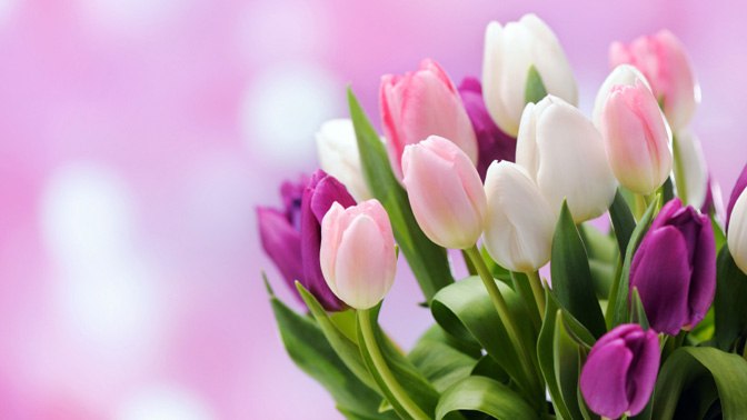 Алла Васильева | Москва