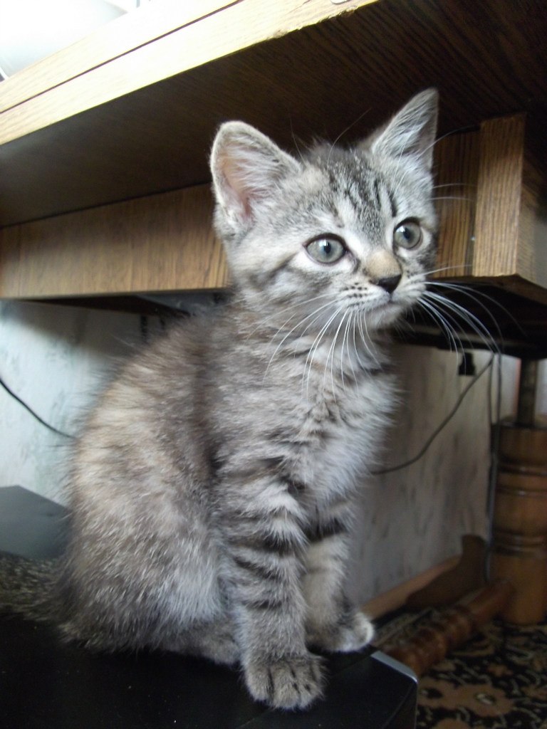 Наталья Слыжова | Кашин