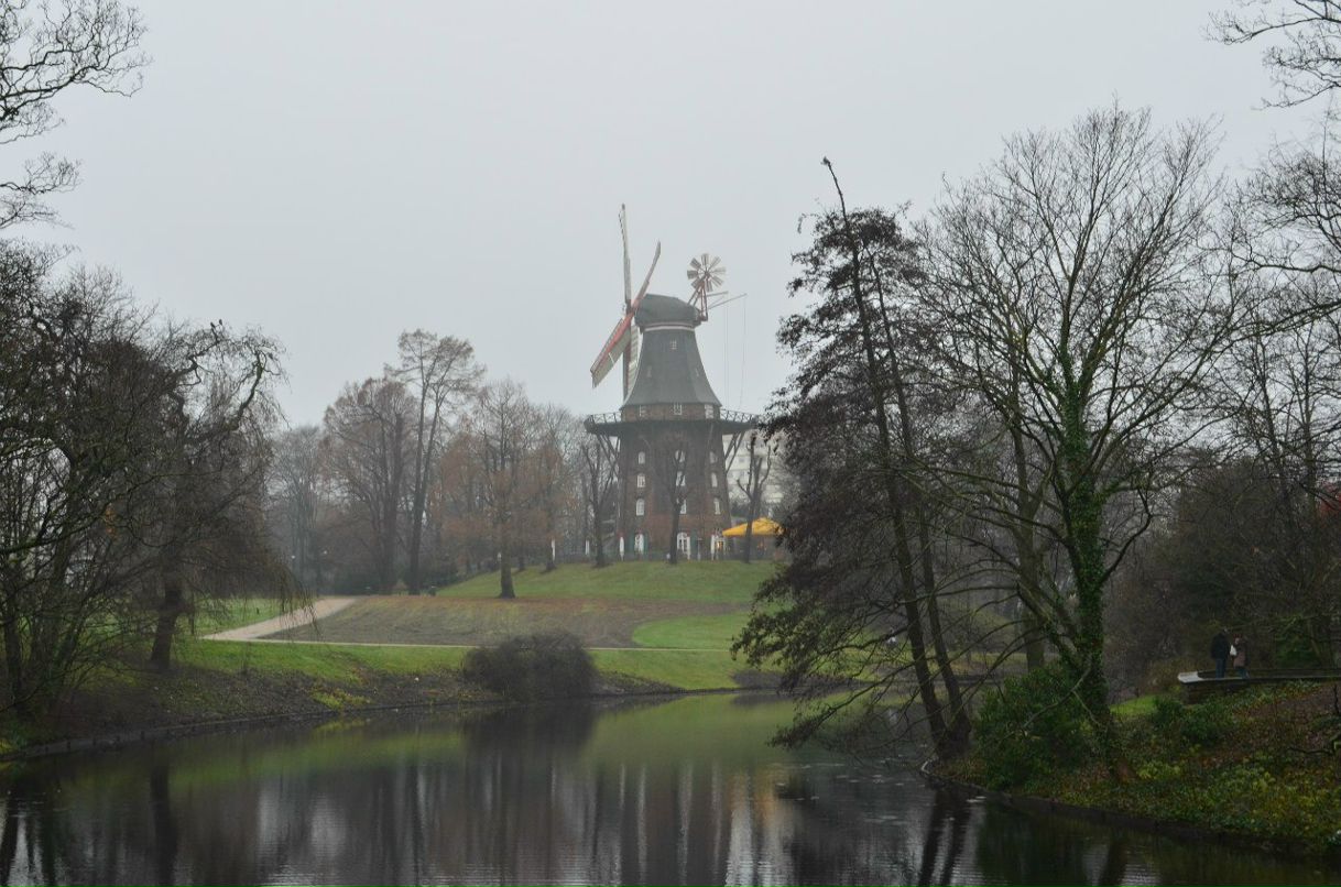 Тарас Шпек | Львов