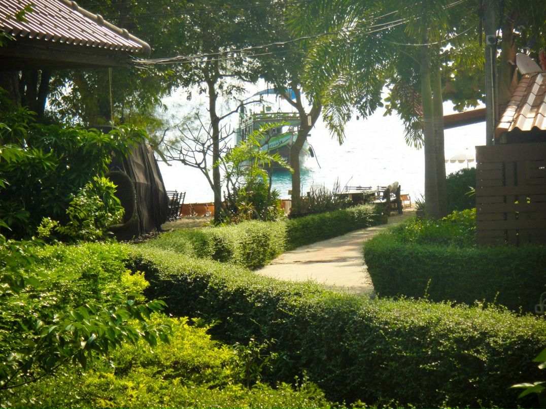 Aida Siniak | London