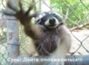 Фотография Виктор Бедушный-Змей