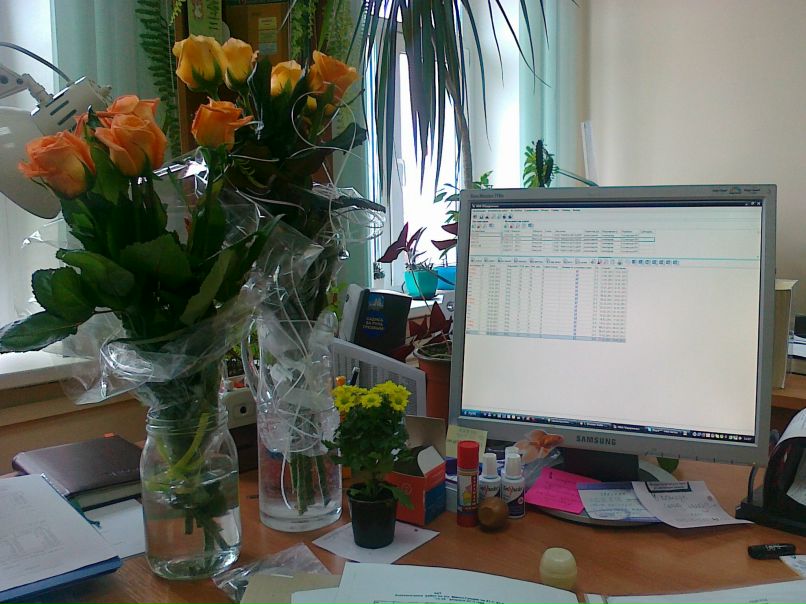 Алёнка Дрозд | Минск