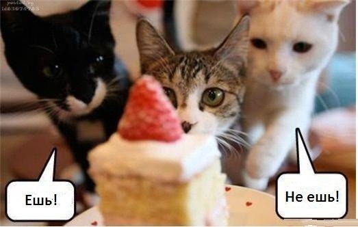 Николай.. Битян | Нижневартовск