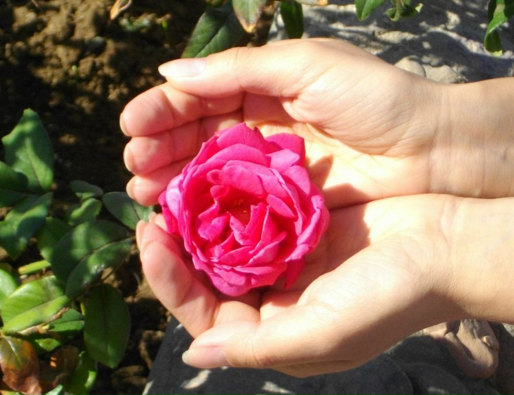 Назира Тюленева | Москва