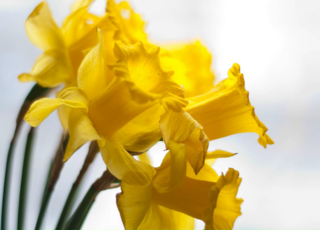 Наталья Малевич | Москва