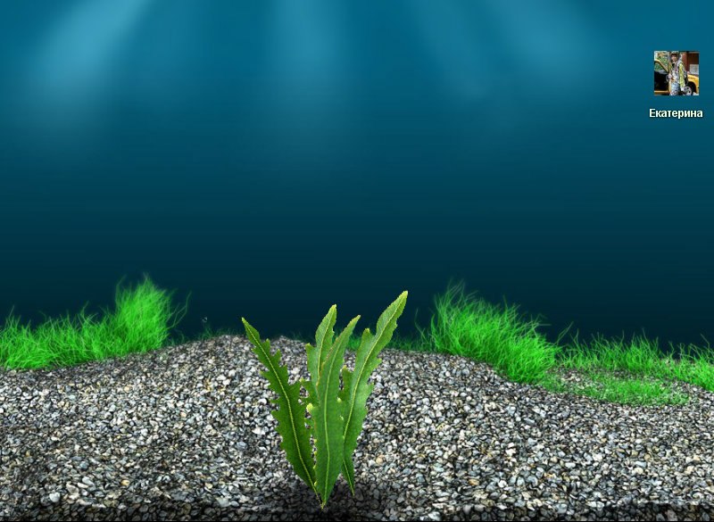 Василиса Сидорова *ПРЕМУДРАЯ И ПРЕКРАСНАЯ* | Санкт-Петербург