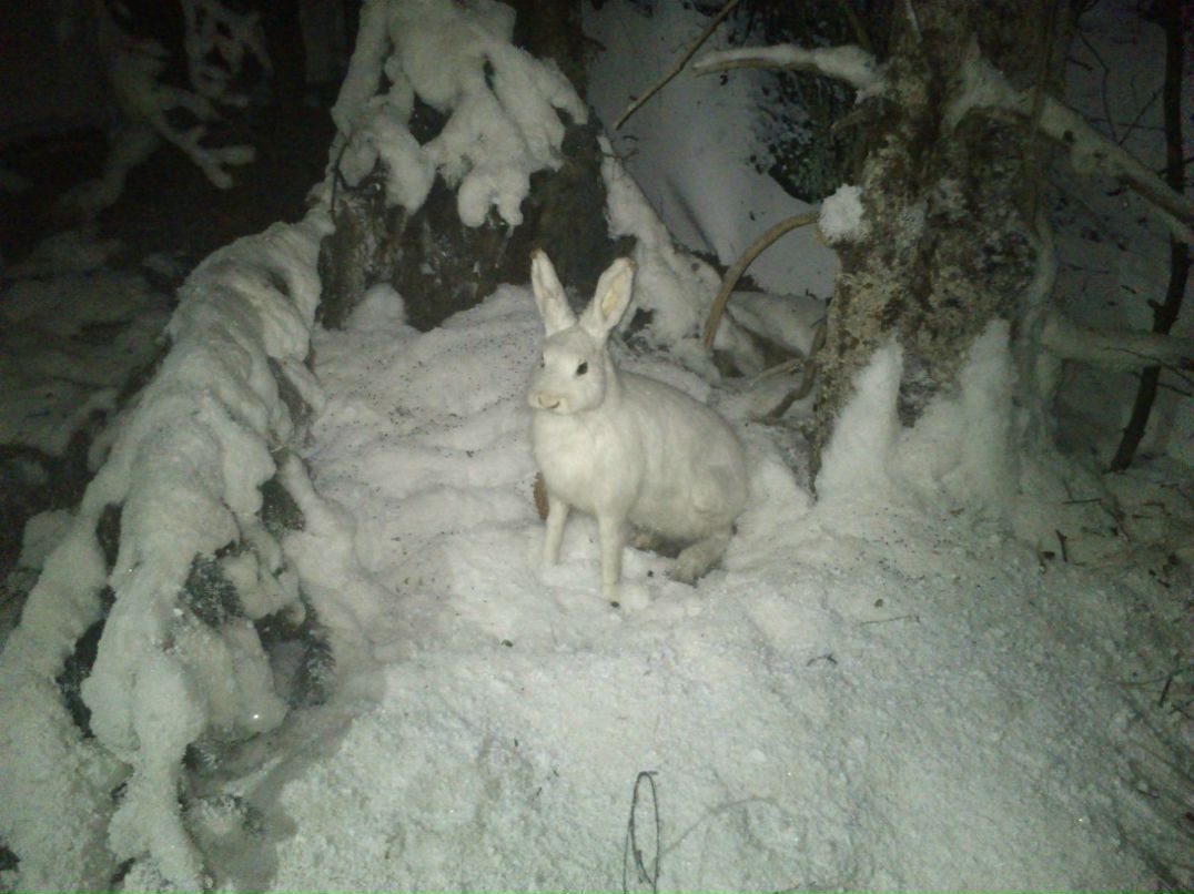 Артем Суботкевич | Кондопога