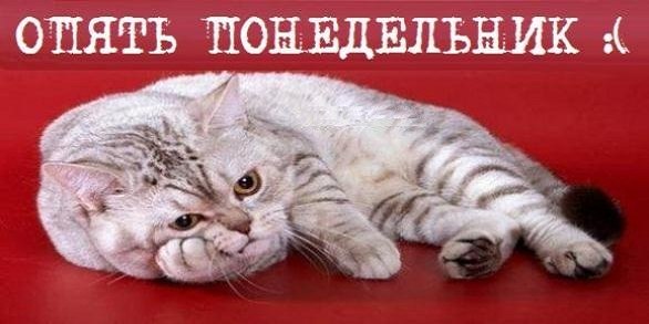 №62, Катерина Моросина, 43 года, Москва №62, Катерина Моросина, 43 года, Москва