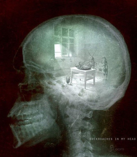 Ольга Харитоненко | Одесса