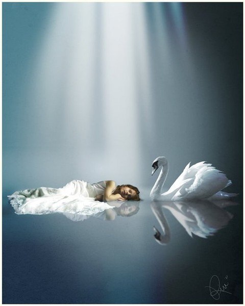 Елизавета Видрашко | Кишинев