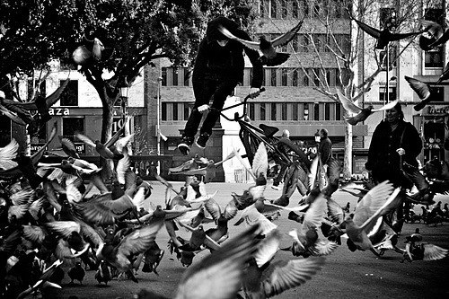 Кирилл Гончаренко | Киев