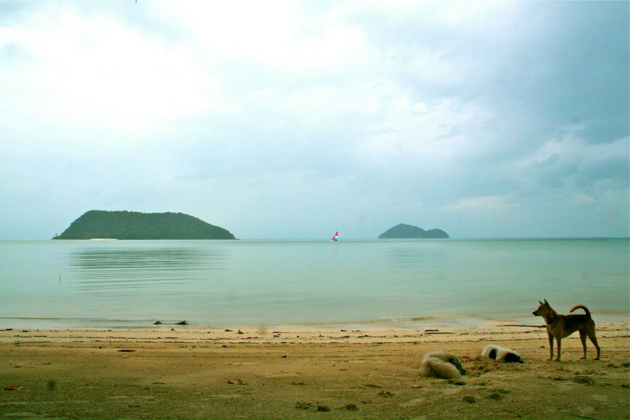 №153, Наташа Островская, Москва №153, Наташа Островская, Москва