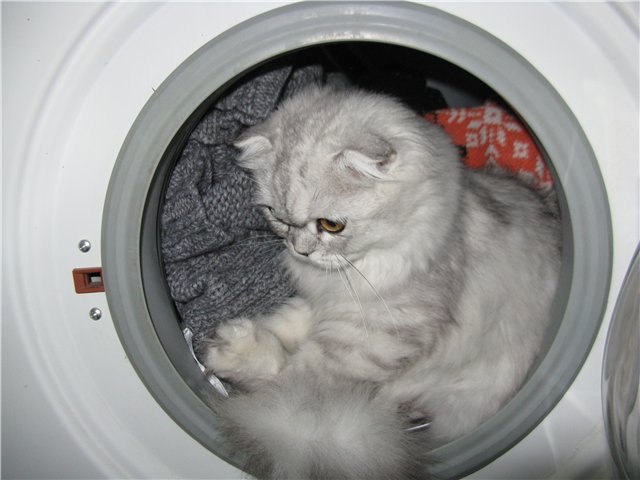 Дмитрий Гриценко Lestatik | Красноярск