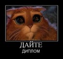 Фотография Гусева Дмитрия
