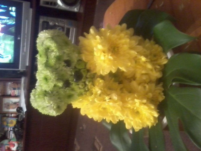 Юлия Белякова | Великий Новгород