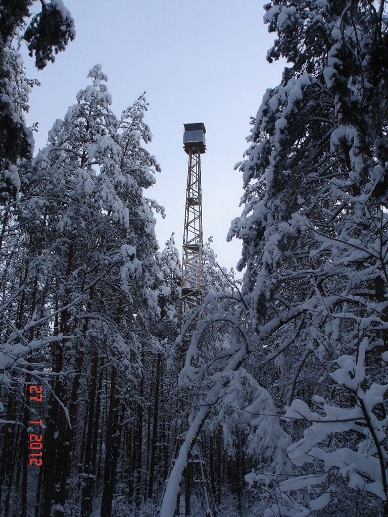 Рома Дурдом | Киев