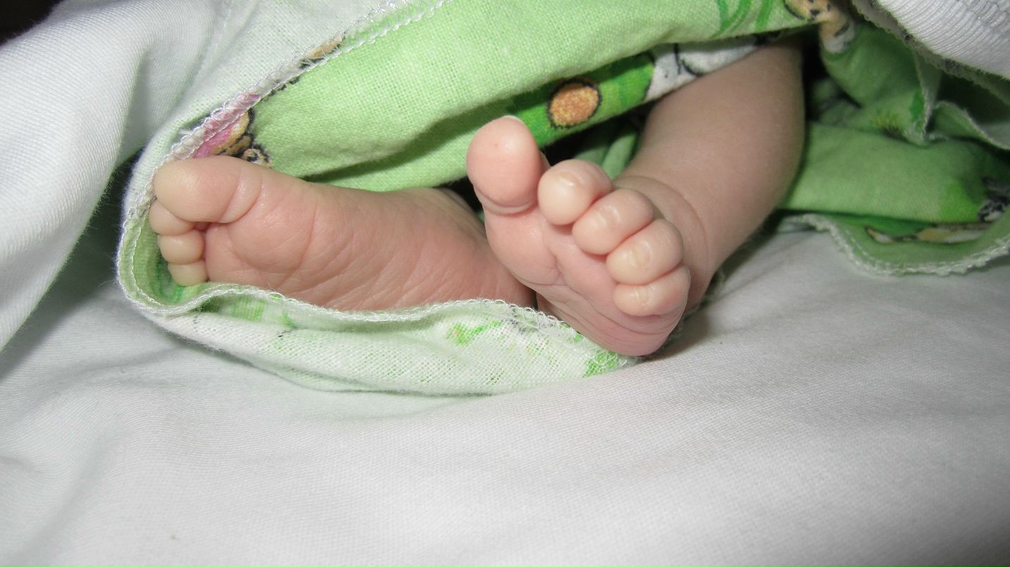 Анжела Захарова | Москва