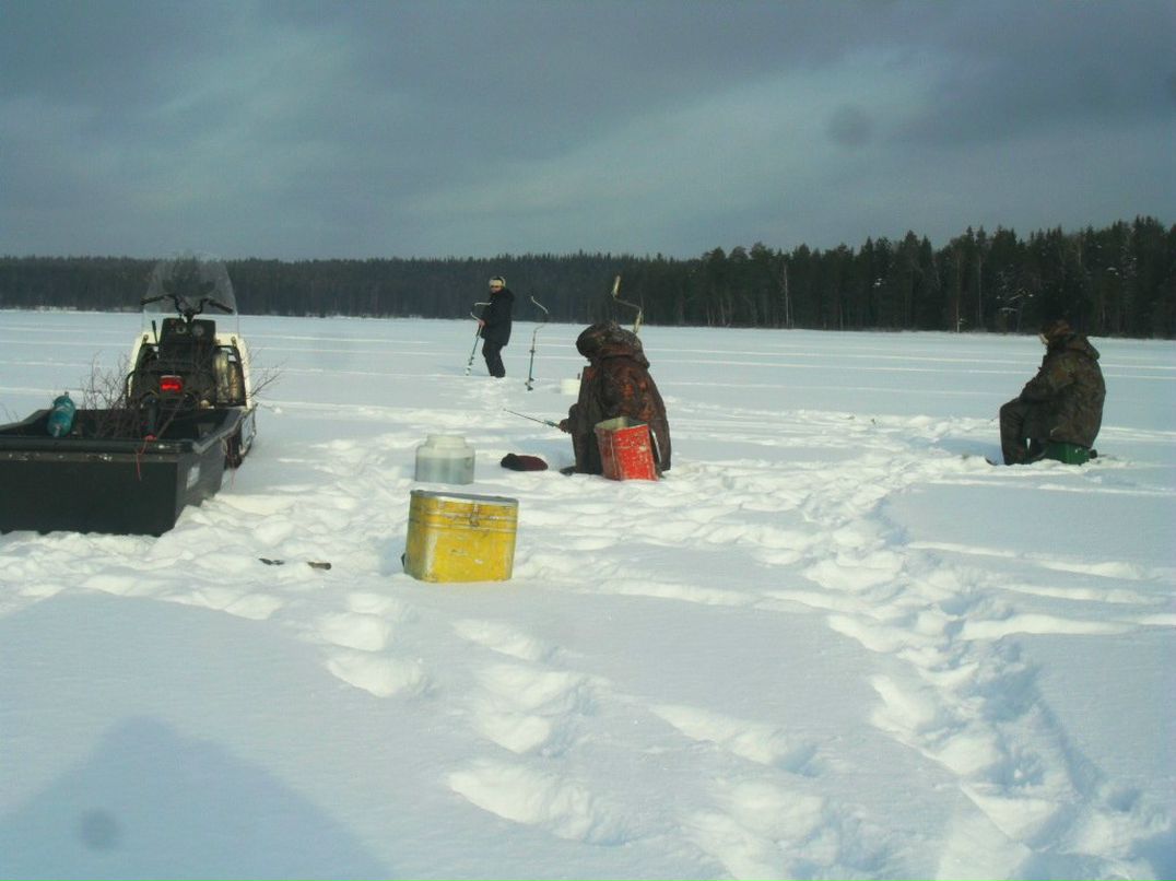 Александр Сафронов | Северодвинск