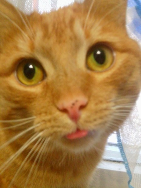 Александер Назаров | 