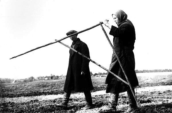 №175, Борис Есин, Санкт-Петербург №175, Борис Есин, Санкт-Петербург