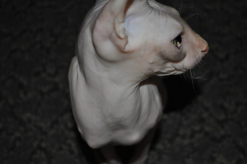 Александр Мезников | Воркута