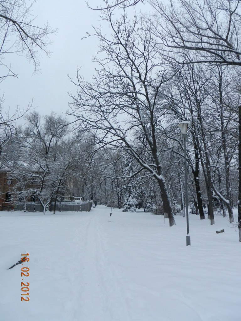 Юрий Малина | Луганск