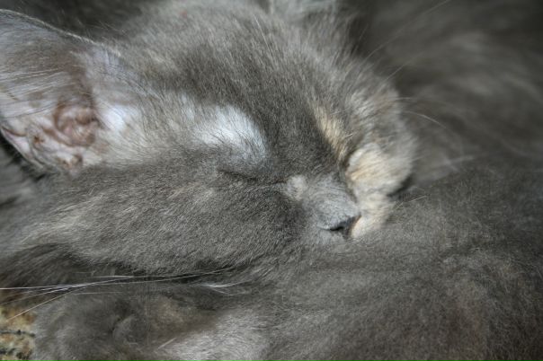 №14, Кристина Муравлева, Оренбург №14, Кристина Муравлева, Оренбург