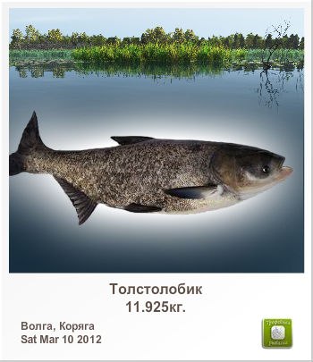 Александр Силин | Великие Луки