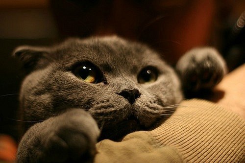 Сергей Раздымаха | Новосибирск