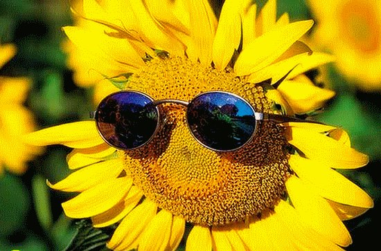 Ольга Прянникова | 