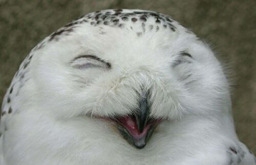 Олег Игоревич | Bergen