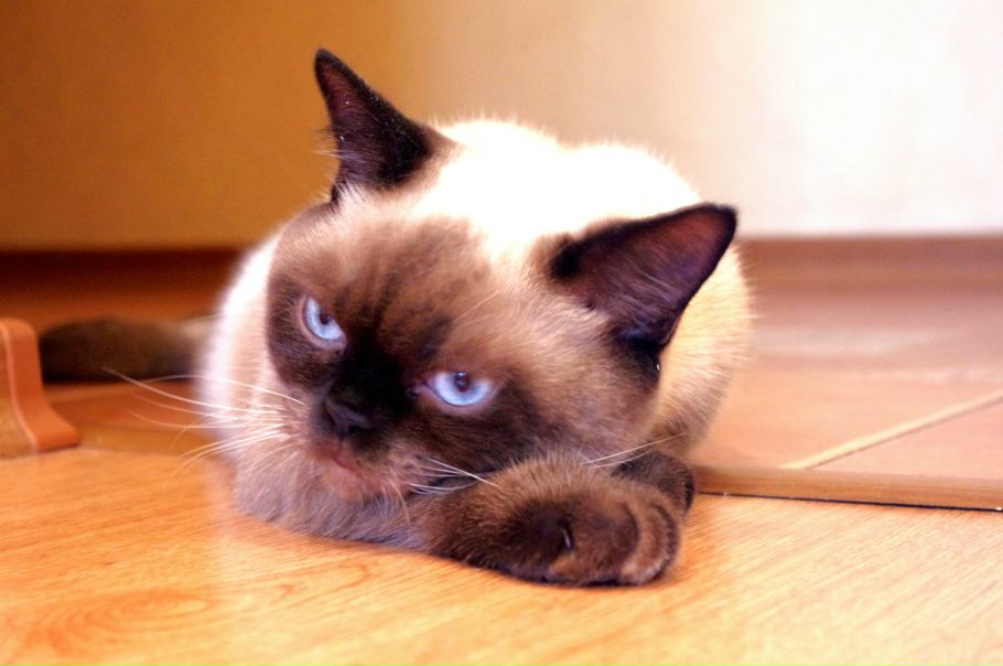 №6, Юлия Митяева, Ростов-на-Дону №6, Юлия Митяева, Ростов-на-Дону