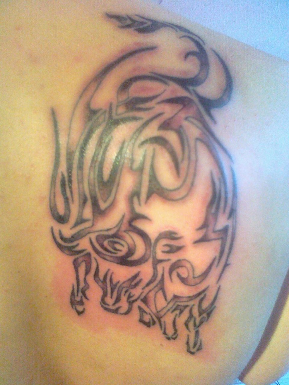 Кирилл Кувшинов DJAKONDA | Сургут