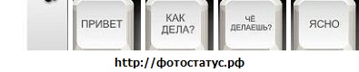 Sveta ) фотография #1