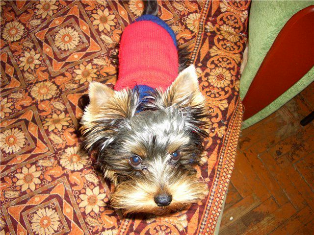 №9, Сергей Лопатюк, 50 лет, Санкт-Петербург №9, Сергей Лопатюк, 50 лет, Санкт-Петербург