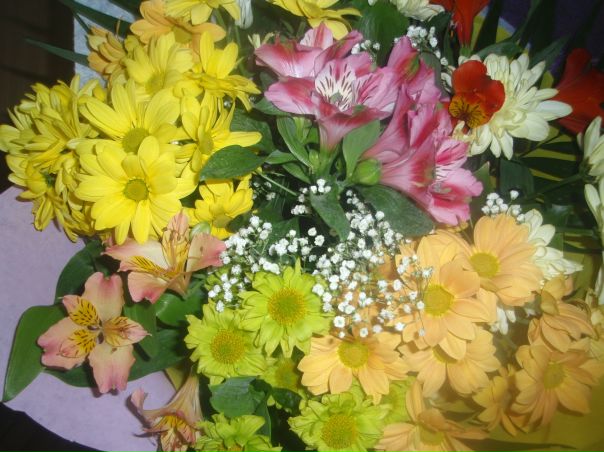 №16, Светлана Макух №16, Светлана Макух