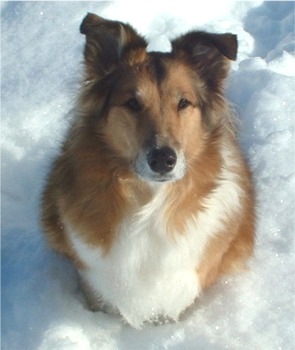 №139, Віталій Іванюк, 37 лет, Киев №139, Віталій Іванюк, 37 лет, Киев