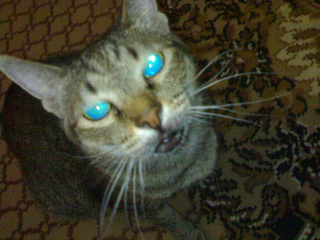 Алексашка Носов | Нижнекамск