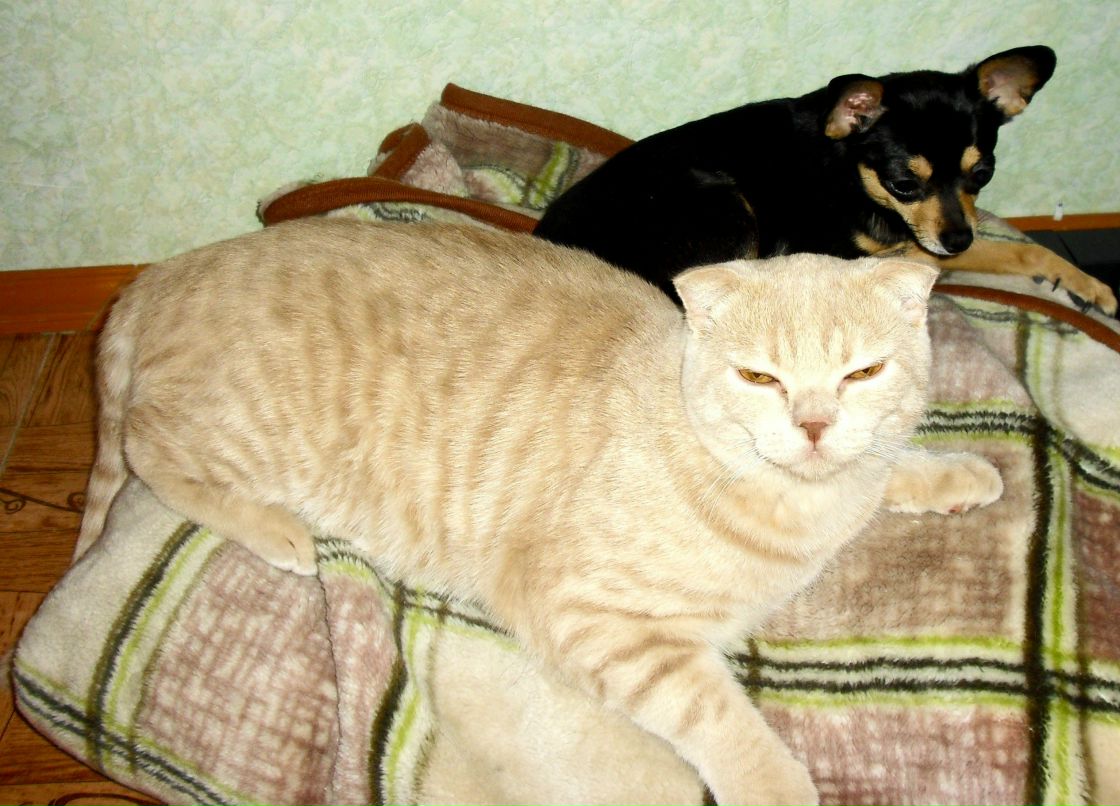 Оксана Валеуллина | Копейск