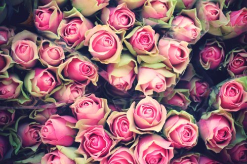 Варвара Смекалова | Санкт-Петербург