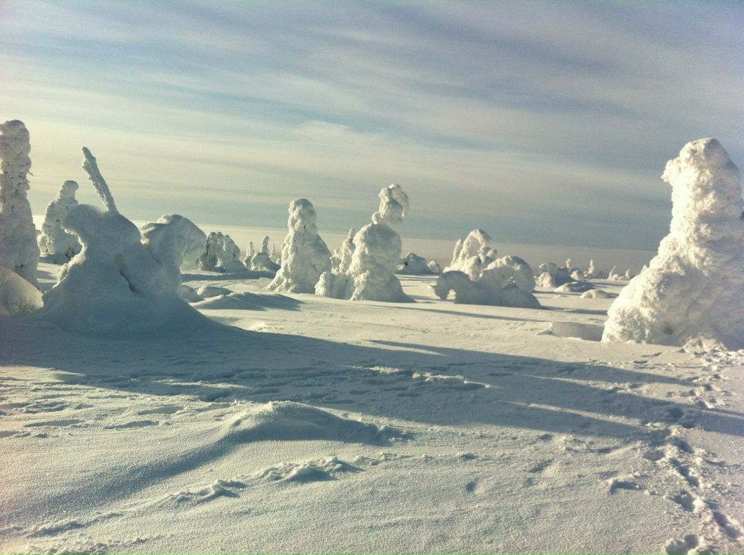 Сергей Обложок devys | Мурманск