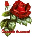 Фотография Хамза Садертдинов