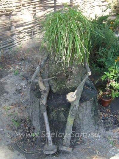 Александра Ревина | Саратов