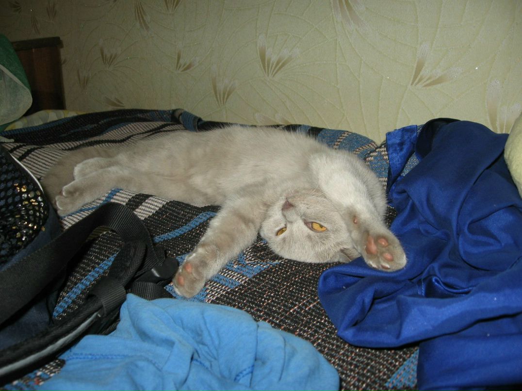 Ольга Карасюк Валериевна | Киев