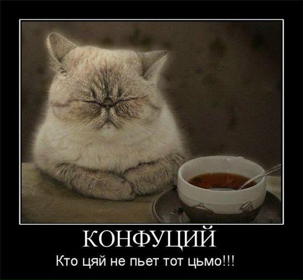 №101, Ирина Данильченко, 37 лет, Севастополь №101, Ирина Данильченко, 37 лет, Севастополь