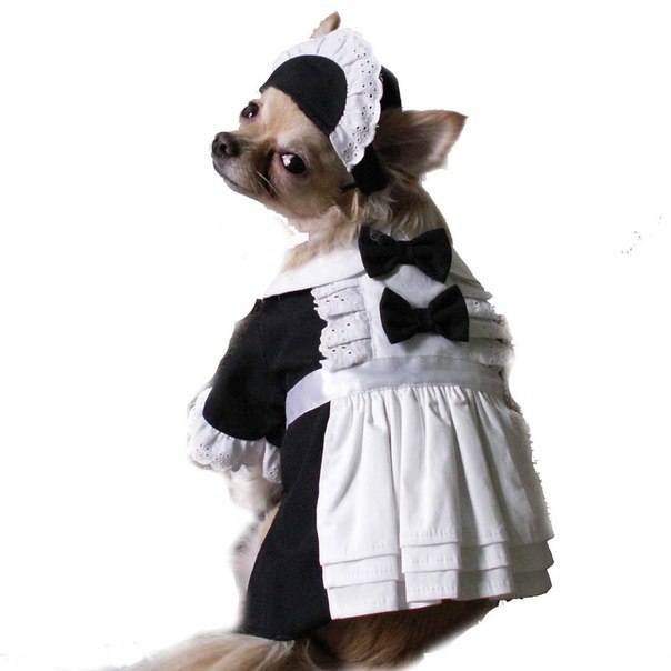 Елена Николаева | Самара