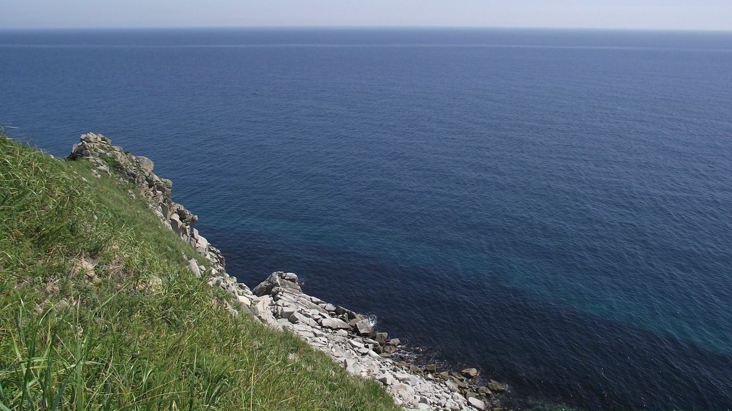 Татьяна Беляева-Агафонова | Хабаровск